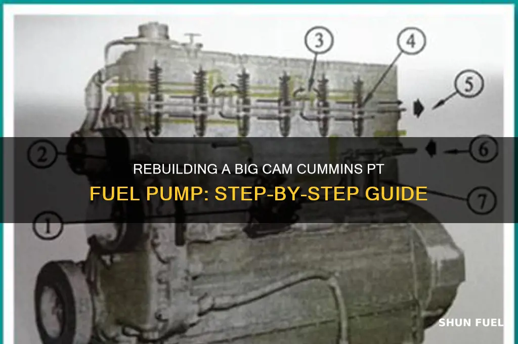how to rebuild a big cam cummins pt fuel pump