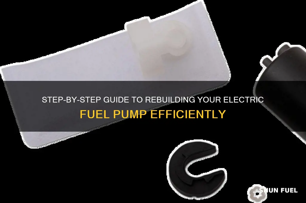 how to rebuild a electric fuel pump