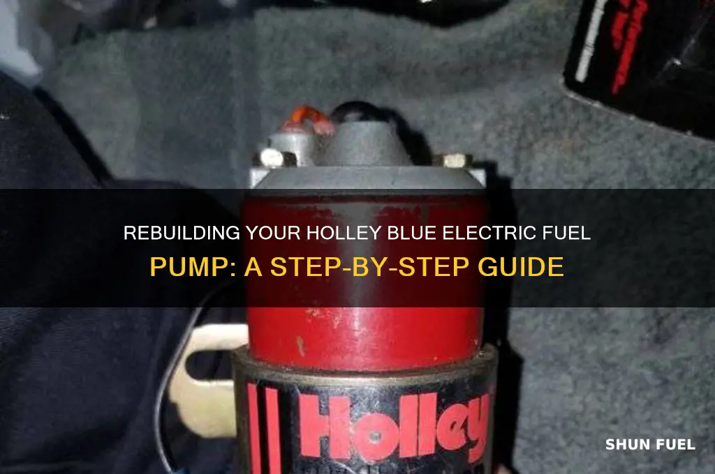 how to rebuild a holley blue electric fuel pump