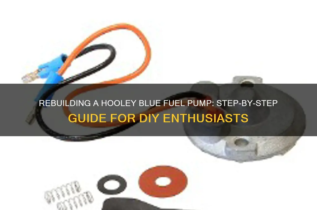 how to rebuild a hooley blue fuel pump