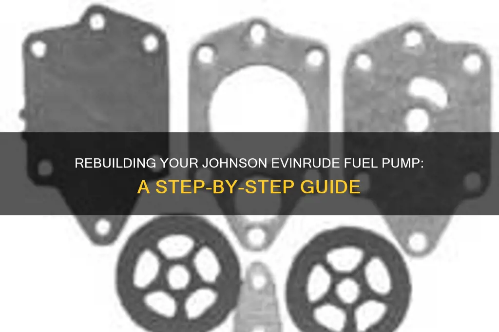 how to rebuild a johnson evinrude fuel pump