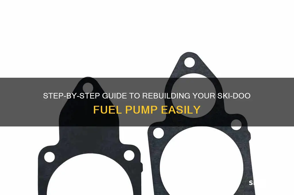 how to rebuild a skiidoo fuel pump