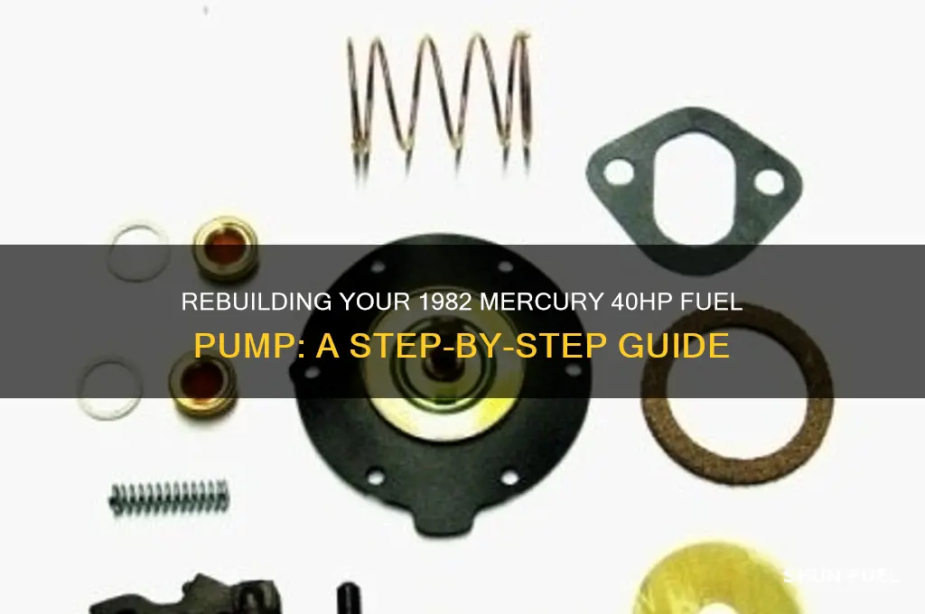 how to rebuild an 1982 merury 40hp fuel pump