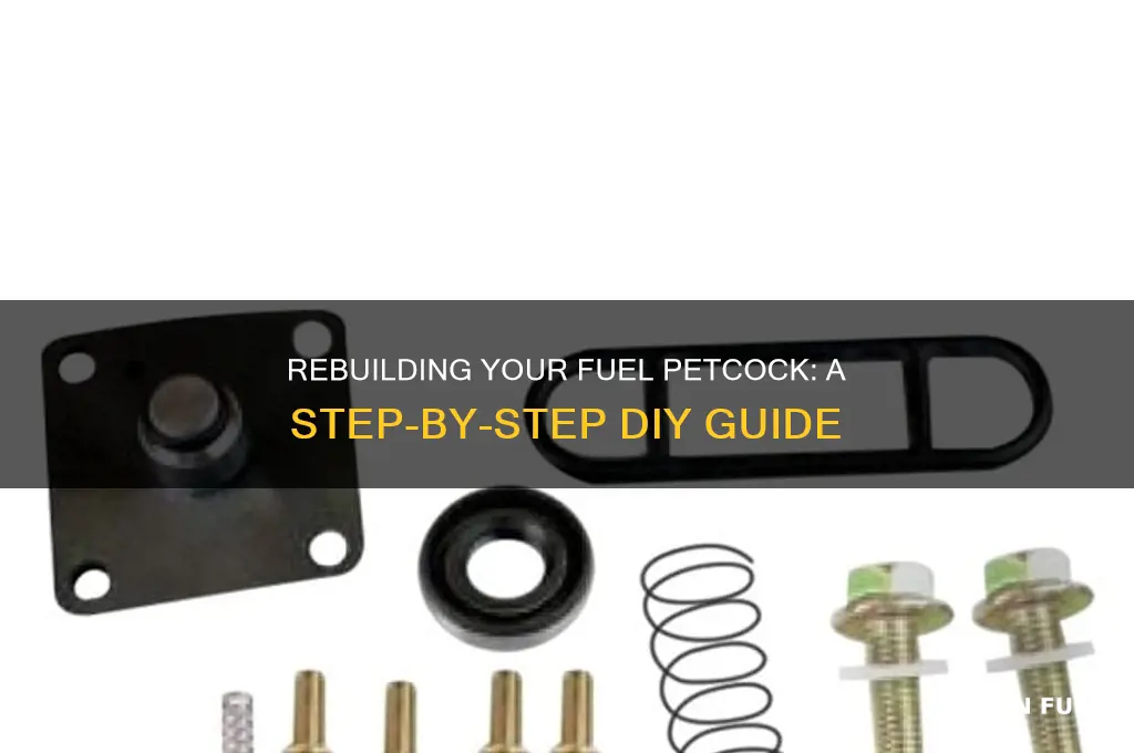 how to rebuild fuel petcock