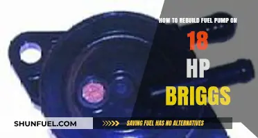 Rebuilding a Briggs & Stratton 18 HP Fuel Pump: Step-by-Step Guide
