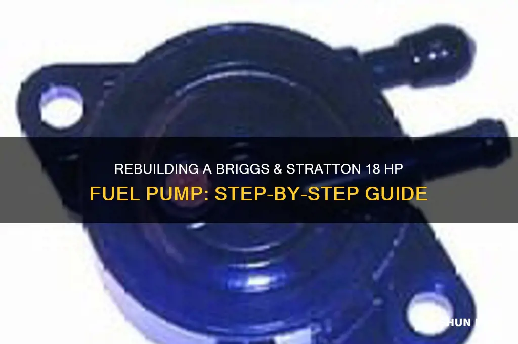 how to rebuild fuel pump on 18 hp briggs