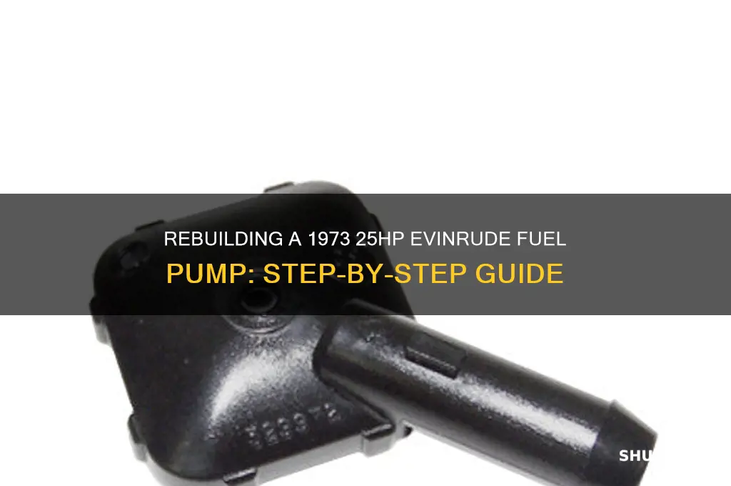 how to rebuild fuel pump on 1973 25hp evinrude