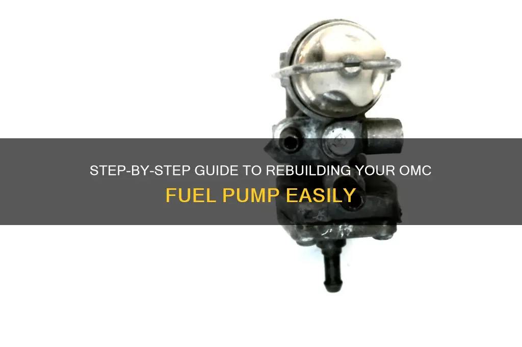 how to rebuild omc fuel pump