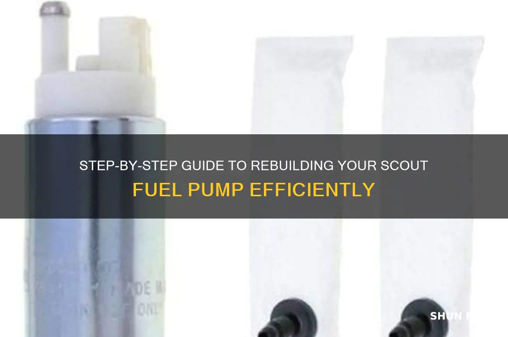 how to rebuild scout fuel pump