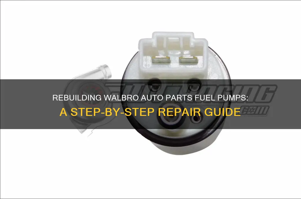 how to rebuild walbro auto parts fuel pumps