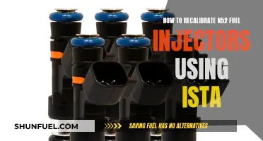 Recalibrating N52 Fuel Injectors: Using ISTA for Precision Tuning