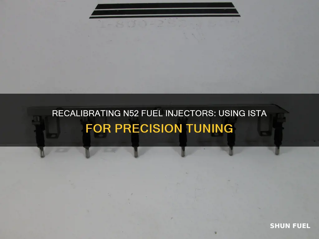 how to recalibrate n52 fuel injectors using ista