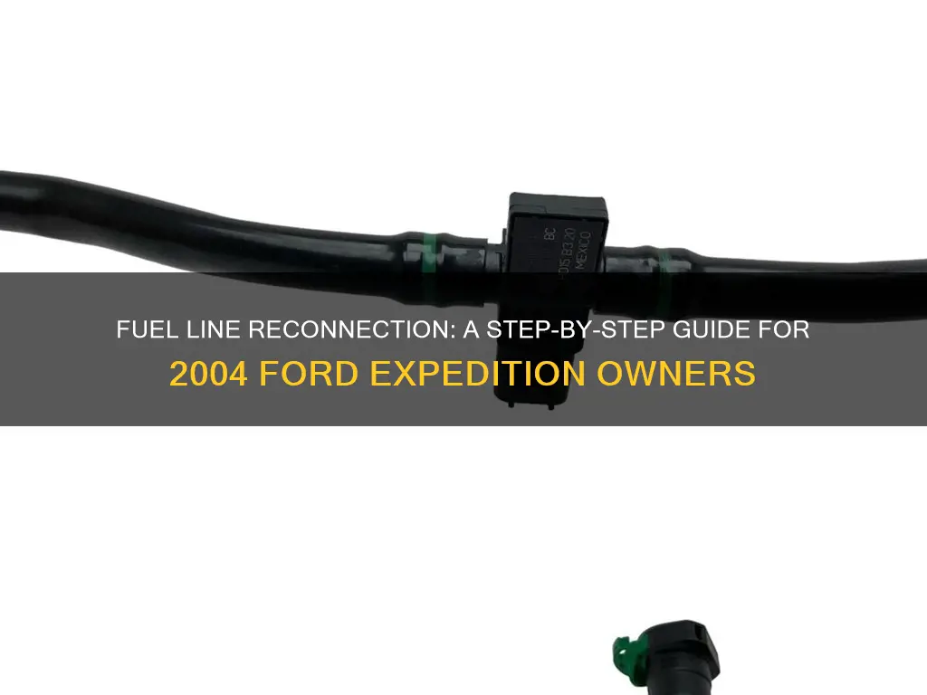 how to reconnect fuel lines 2004 ford expedition