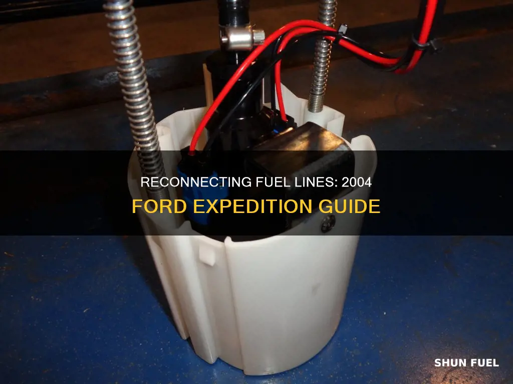 how to reconnect fuel lines 2004 ford expedition