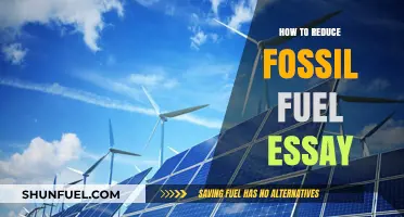 Sustainable Steps to Cut Fossil Fuel Dependence and Save Our Planet