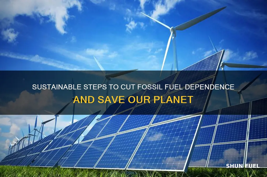 how to reduce fossil fuel essay