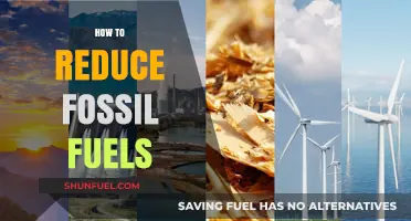 Reducing Fossil Fuels: A Guide to Clean Energy Transition