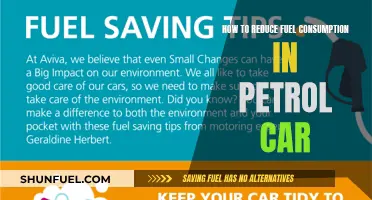 Ways to Reduce Fuel Consumption in Your Petrol Car