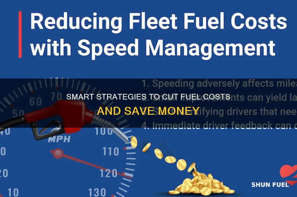 how to reduce fuel expenses