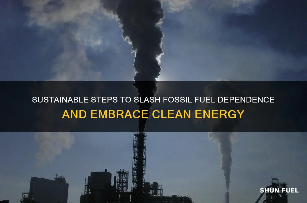 how to reduce our use of fossil fuels
