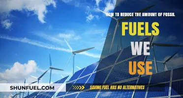 Sustainable Steps: Reducing Fossil Fuel Dependence for a Greener Future