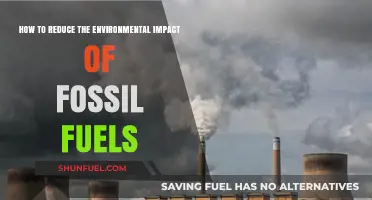 Sustainable Solutions: Reducing Fossil Fuels' Environmental Impact Effectively