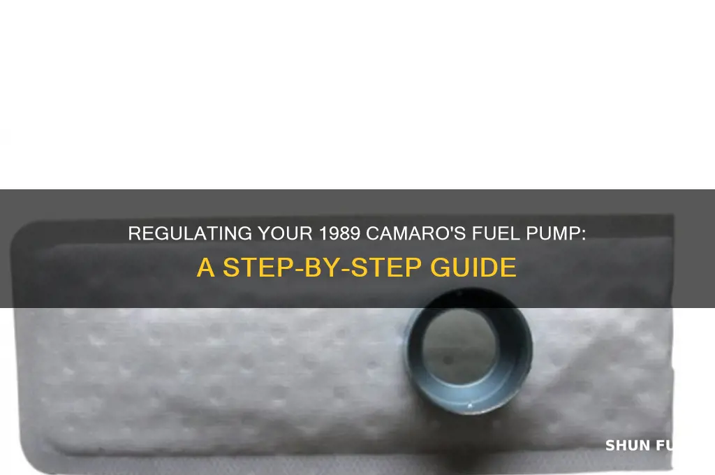 how to regulate camaro 89 fuel pump