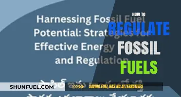 Regulating Fossil Fuels: Strategies for a Sustainable Energy Transition