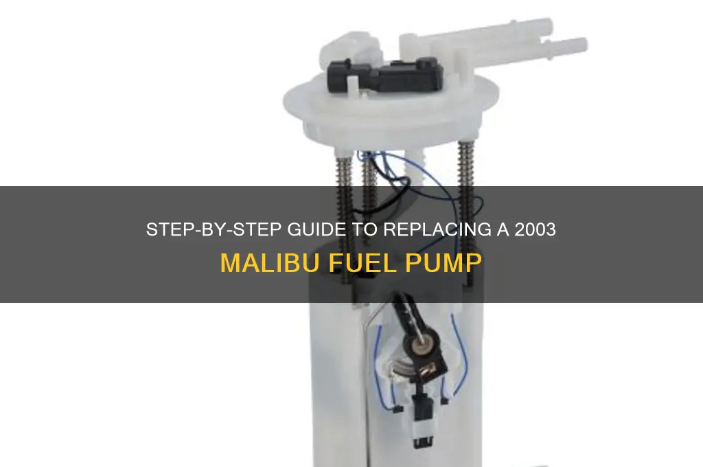 how to relace 2003 malibu fuel pump