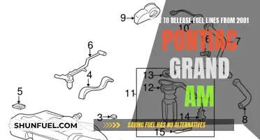 Unclogging the Past: A Guide to Fuel Line Release in 2001 Pontiac Grand Am