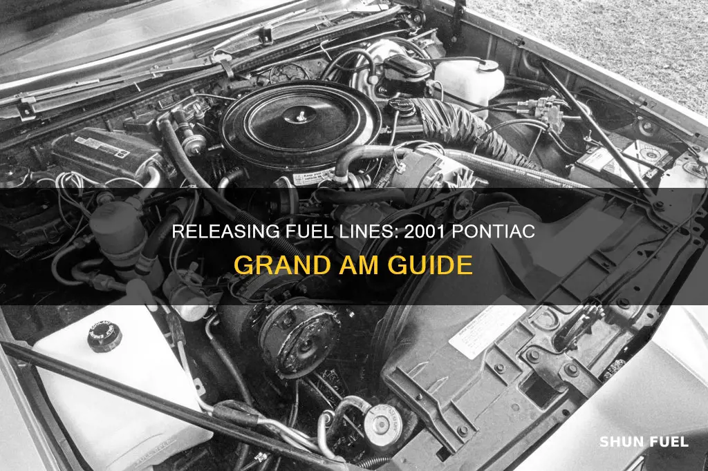 how to release fuel lines from 2001 pontiac grand am