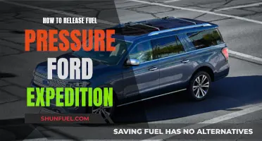 Relieving Fuel Pressure in a Ford Expedition