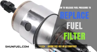 Mastering Fuel System Maintenance: Release Pressure, Replace Filter