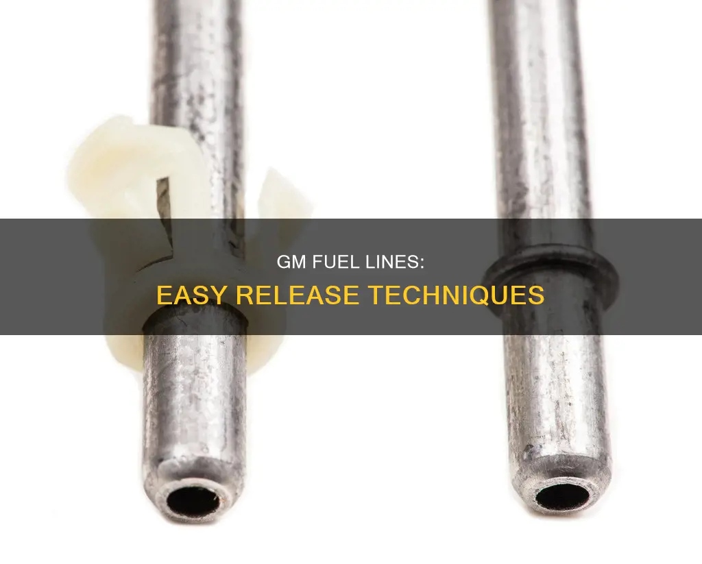 how to release gm fuel lines