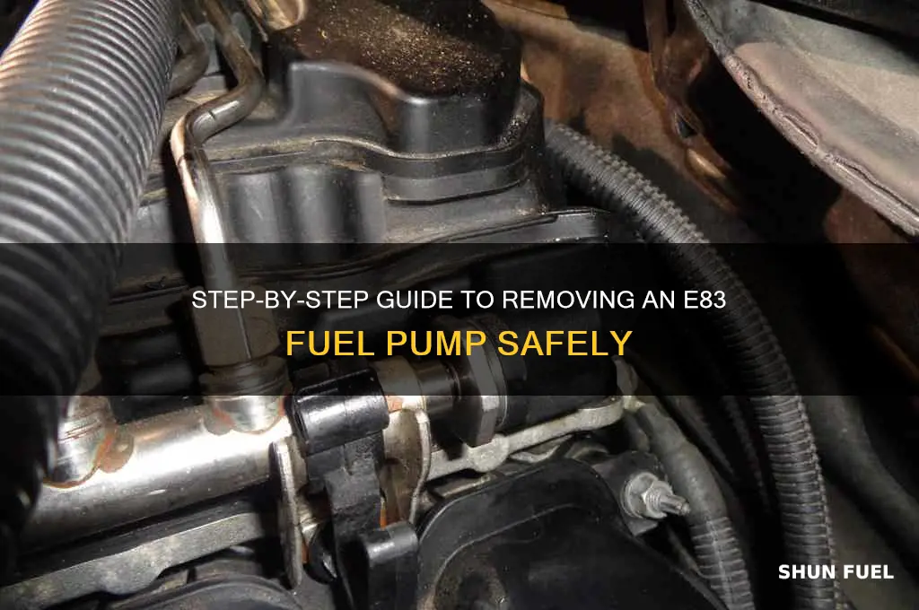how to removal e83 fuel pump