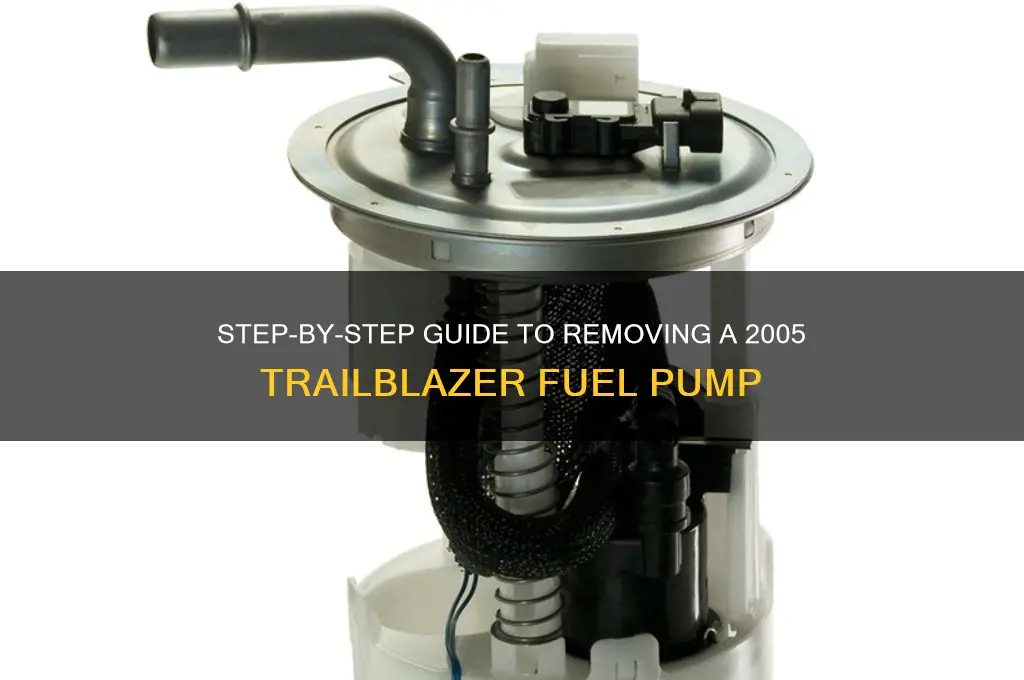 how to remove 05 trailblazer fuel pump