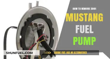 Step-by-Step Guide: Removing the Fuel Pump in a 2001 Mustang