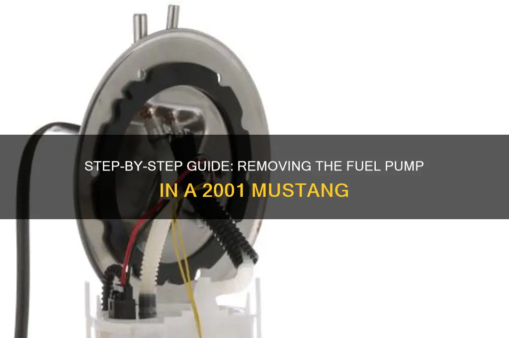 how to remove 2001 mustang fuel pump