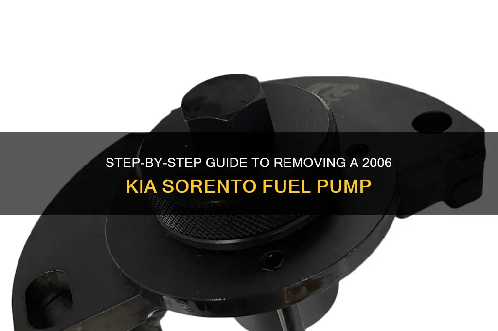 how to remove 2006 kia sorento fuel pump