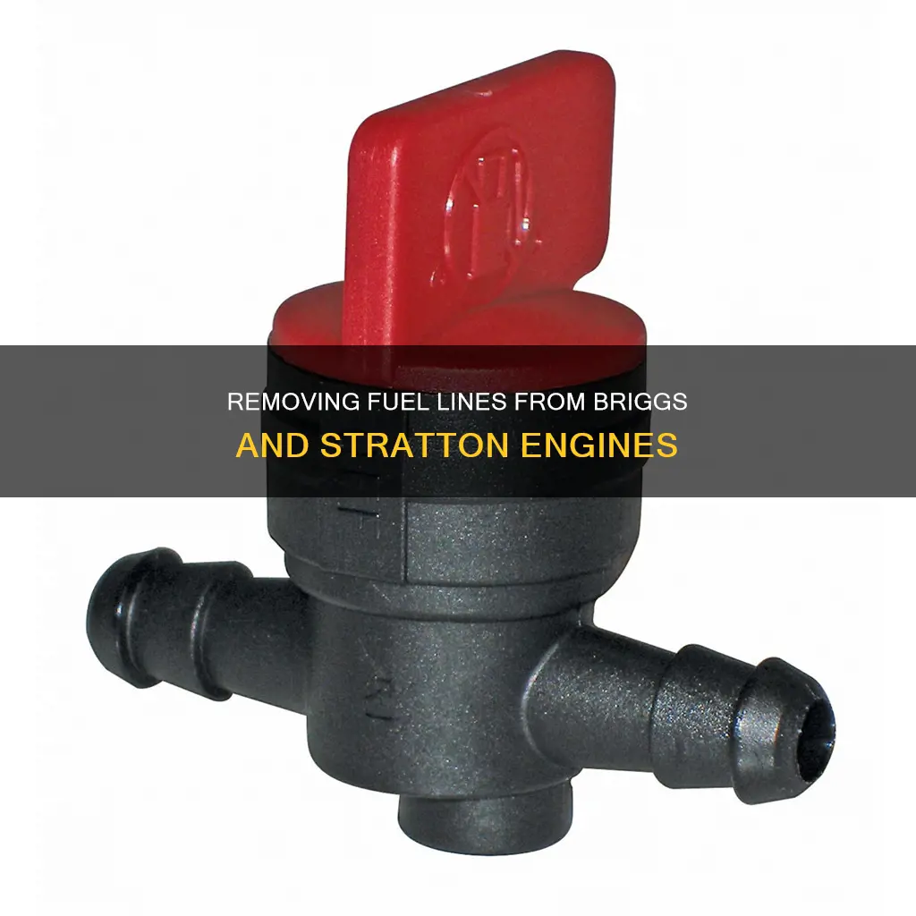 how to remove a fuel line from briggs and stratton