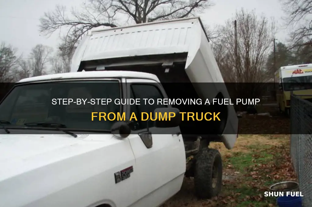 how to remove a fuel pump from a dump truck