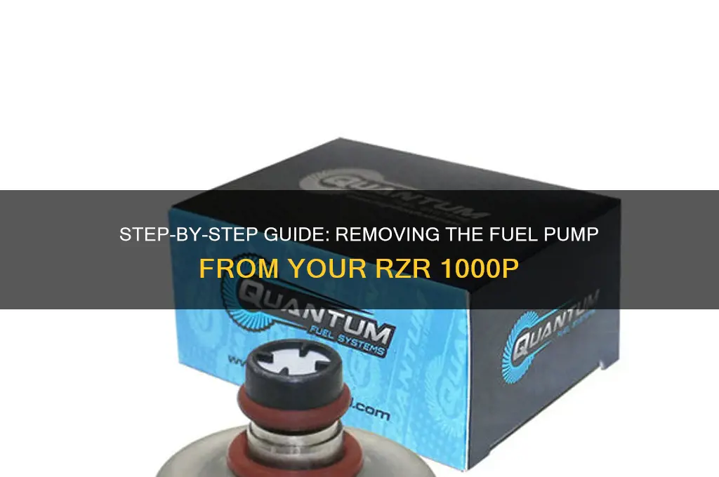 how to remove a fuel pump from a rzr 100p
