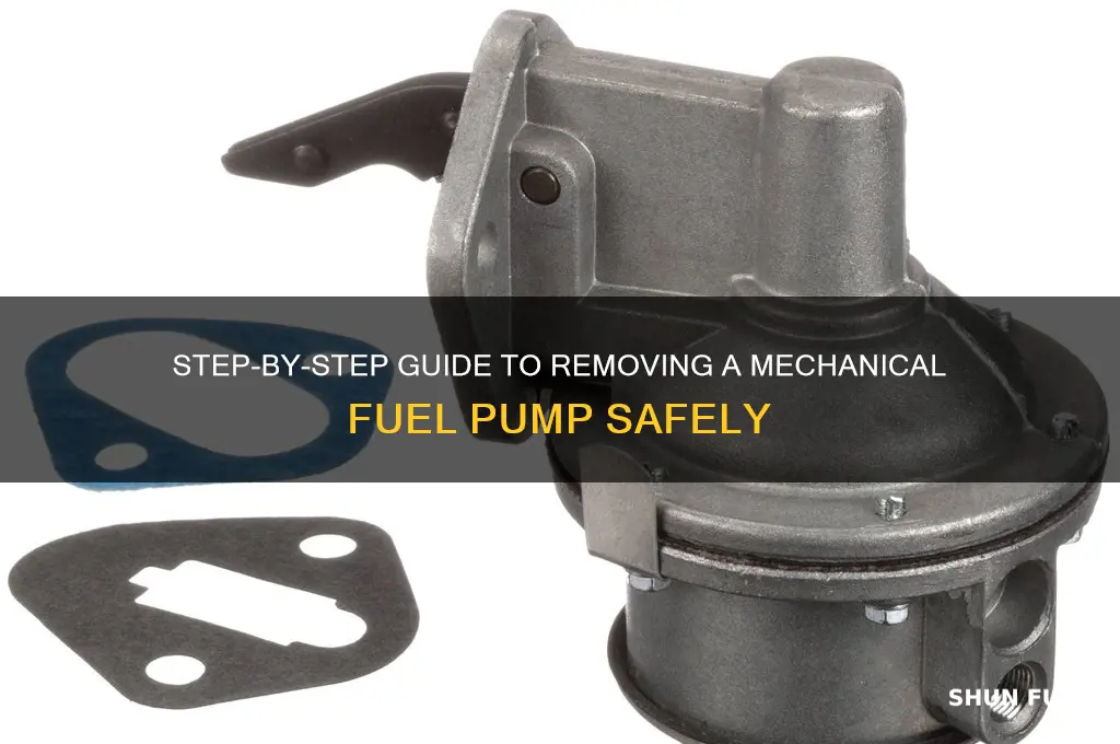 how to remove a mechanical fuel pump