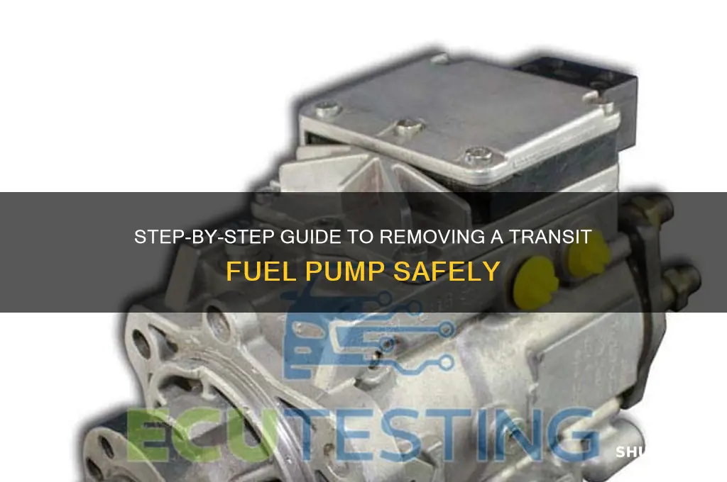 how to remove a transit fuel pump