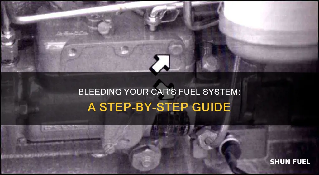 how to remove air from car fuel system