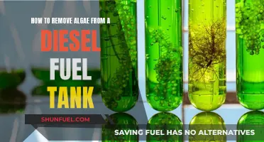 Eliminating Algae Growth in Diesel Fuel Tanks
