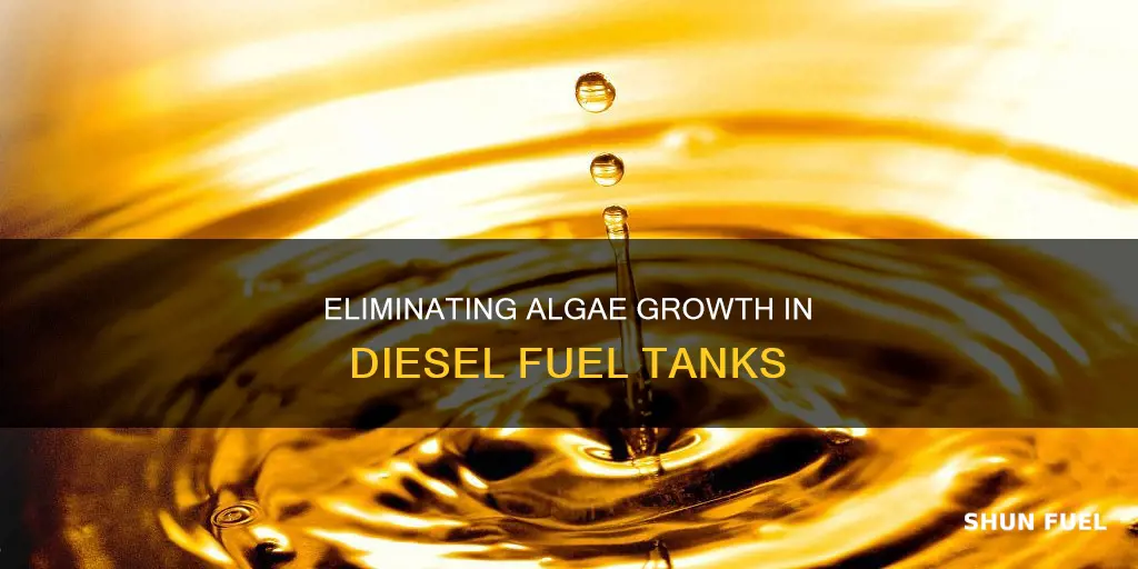 how to remove algae from a diesel fuel tank