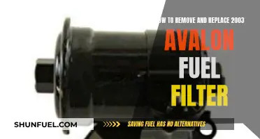 Replacing the Fuel Filter in Your 2003 Avalon