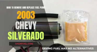 Replacing the Fuel Pump in a 2003 Chevy Silverado