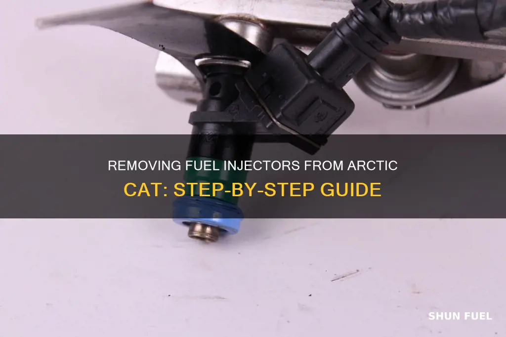 how to remove arctic cat fuel injectors